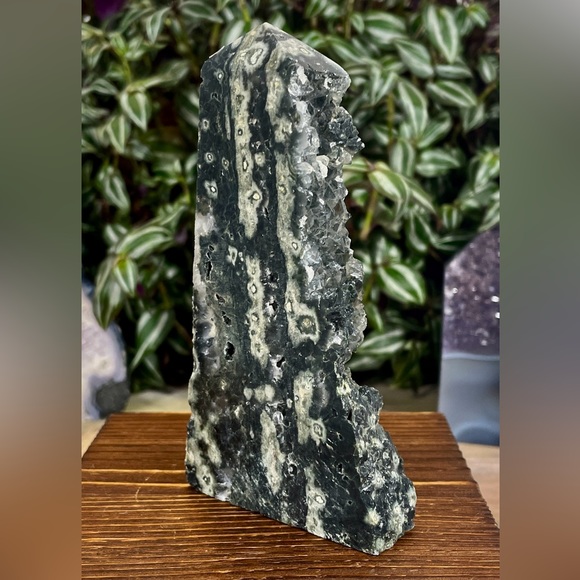 Other - Unique Rainforest Jasper Crystal Tower with Black Druzy Metaphysical / Reiki